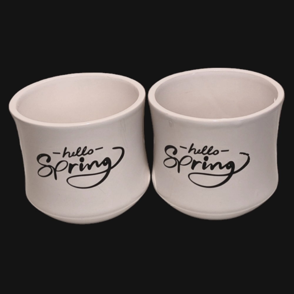 Hello Spring White & Black Ceramic Cup Planters Set of 2